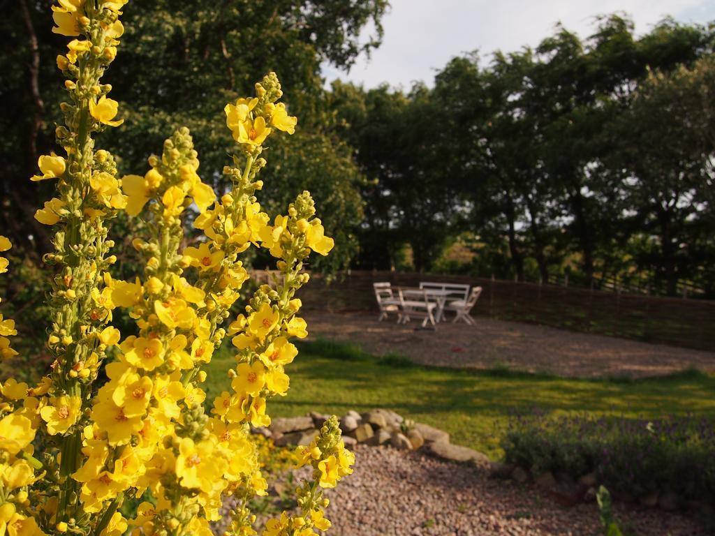 Augustas Bed & Breakfast Bed and Breakfast Falkenberg Εξωτερικό φωτογραφία
